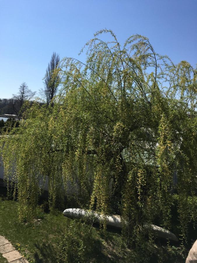 chata u rybníka Broumar Opočno Exterior foto